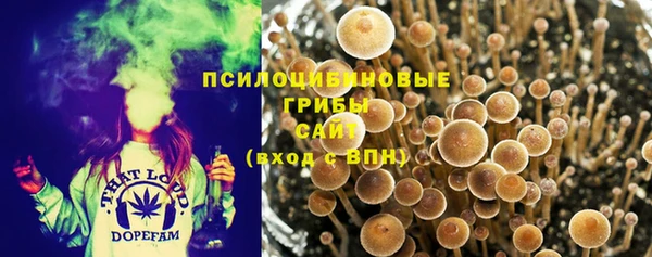 кокаин Вяземский