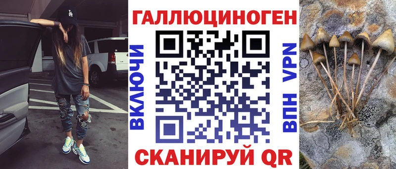 где продают   площадка телеграм  Галлюциногенные грибы Magic Shrooms  Тверь 
